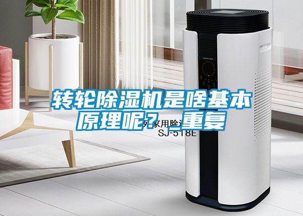 轉輪除濕機是啥基本原理呢？_重復