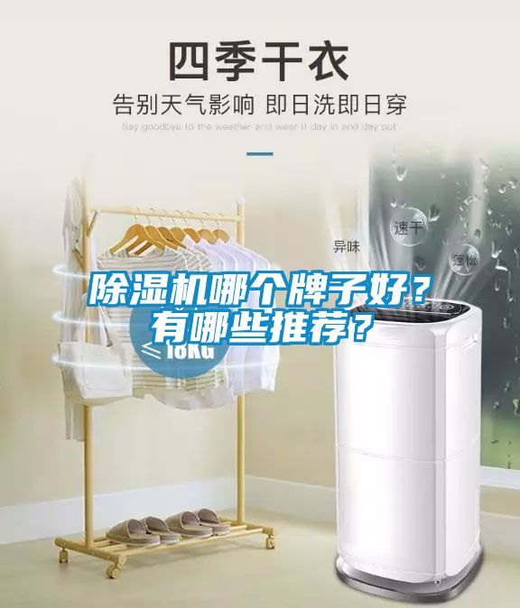 除濕機(jī)哪個(gè)牌子好？有哪些推薦？