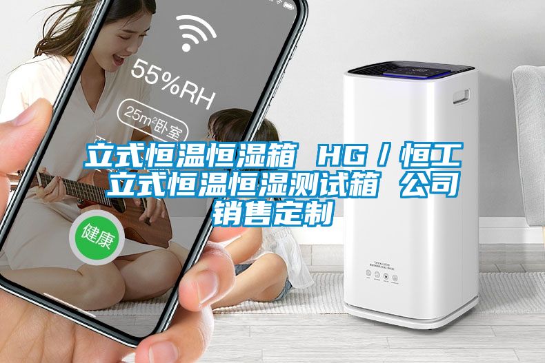 立式恒溫恒濕箱 HG／恒工 立式恒溫恒濕測(cè)試箱 公司銷(xiāo)售定制