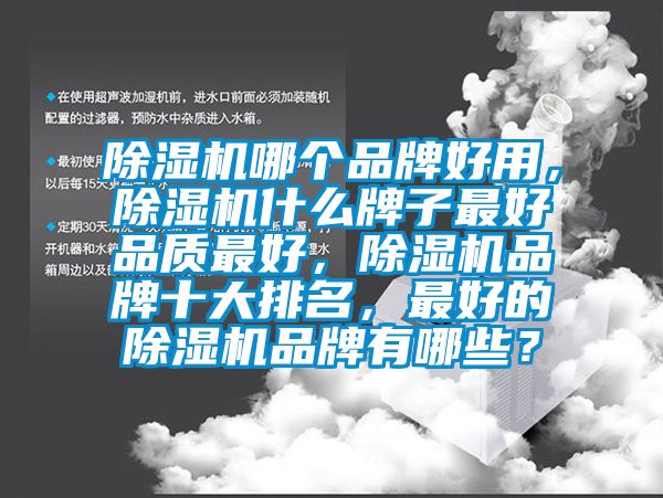 除濕機(jī)哪個(gè)品牌好用，除濕機(jī)什么牌子最好品質(zhì)最好，除濕機(jī)品牌十大排名，最好的除濕機(jī)品牌有哪些？