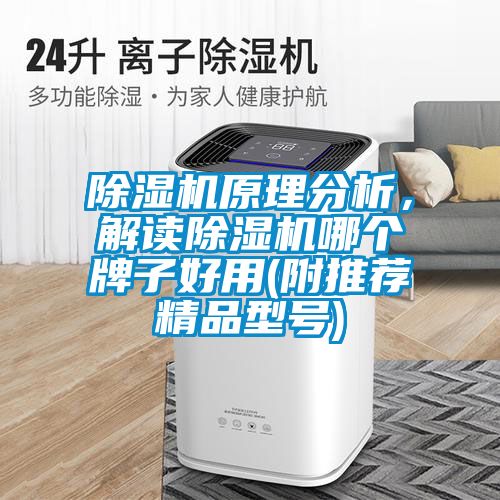 除濕機原理分析，解讀除濕機哪個牌子好用(附推薦精品型號)