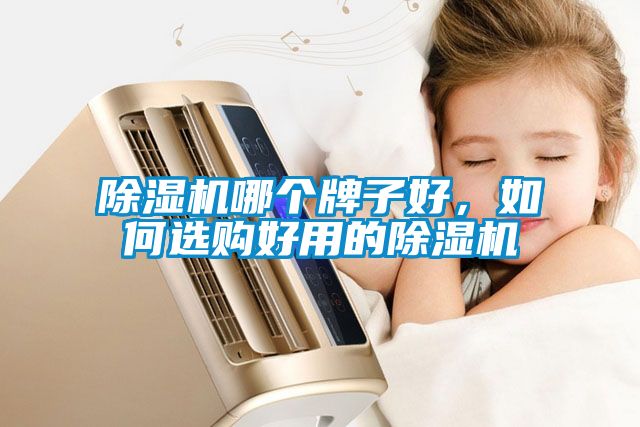除濕機(jī)哪個牌子好，如何選購好用的除濕機(jī)