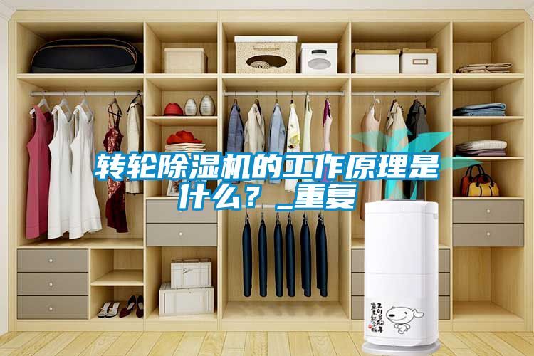 轉輪除濕機的工作原理是什么？_重復