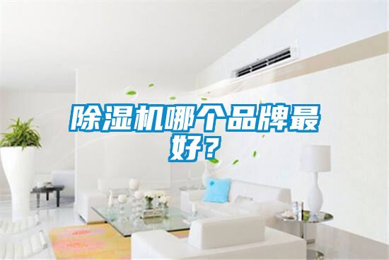 除濕機(jī)哪個品牌最好？