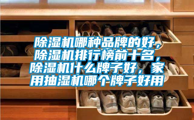 除濕機哪種品牌的好，除濕機排行榜前十名，除濕機什么牌子好，家用抽濕機哪個牌子好用