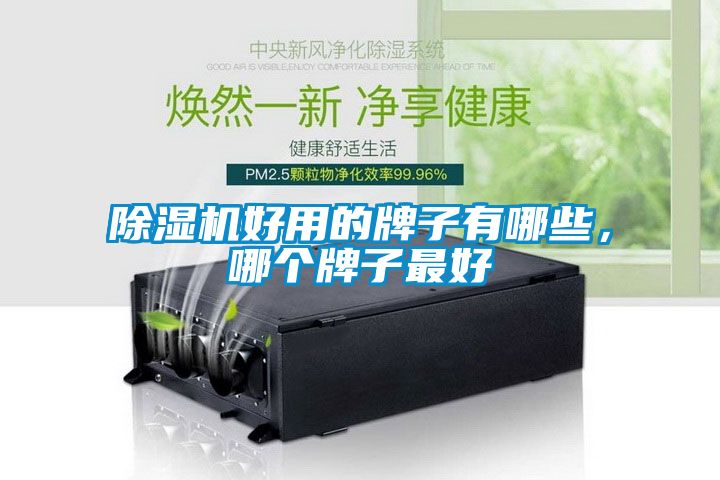 除濕機(jī)好用的牌子有哪些，哪個(gè)牌子最好
