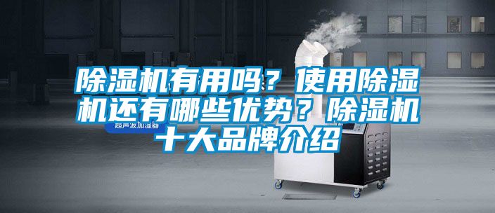 除濕機有用嗎？使用除濕機還有哪些優(yōu)勢？除濕機十大品牌介紹