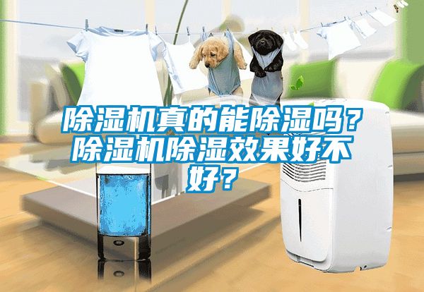 除濕機真的能除濕嗎？除濕機除濕效果好不好？