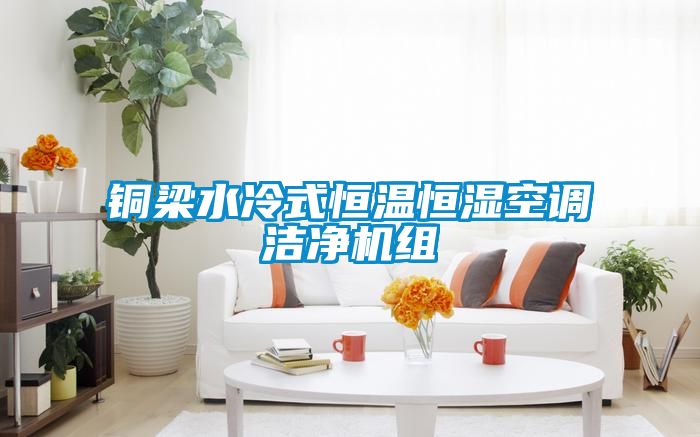 銅梁水冷式恒溫恒濕空調(diào)潔凈機(jī)組