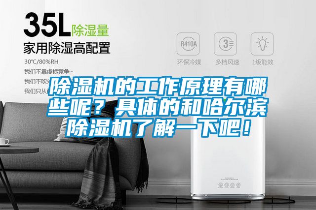 除濕機的工作原理有哪些呢？具體的和哈爾濱除濕機了解一下吧！