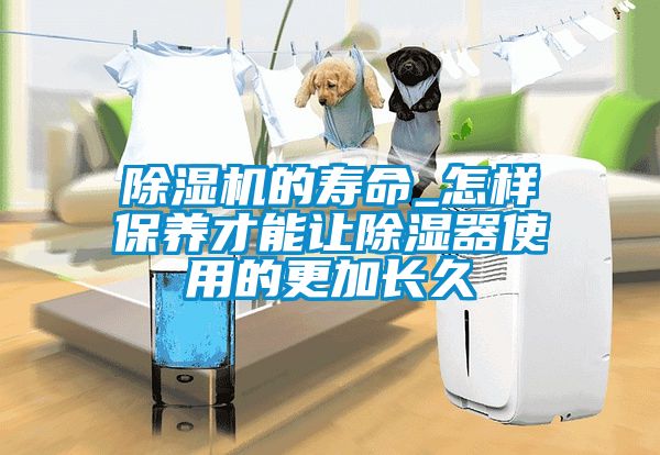 除濕機(jī)的壽命_怎樣保養(yǎng)才能讓除濕器使用的更加長久