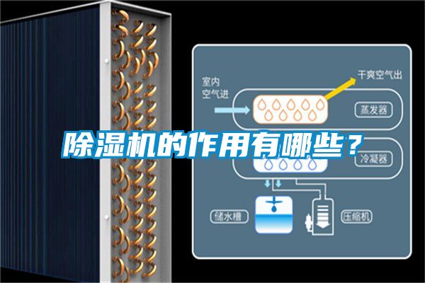 除濕機的作用有哪些？