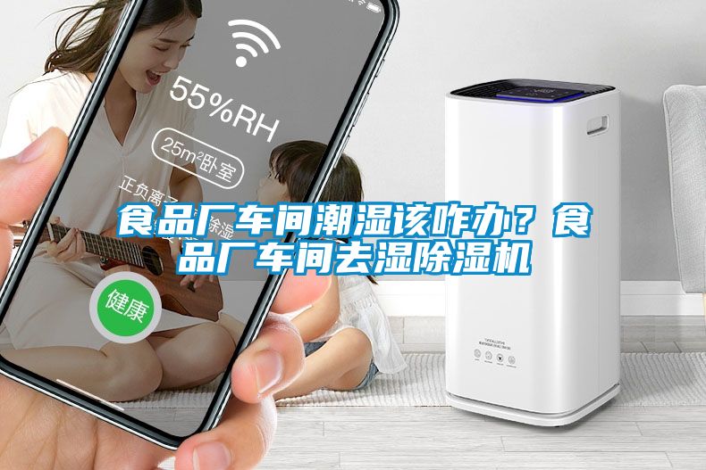 食品廠車間潮濕該咋辦？食品廠車間去濕除濕機