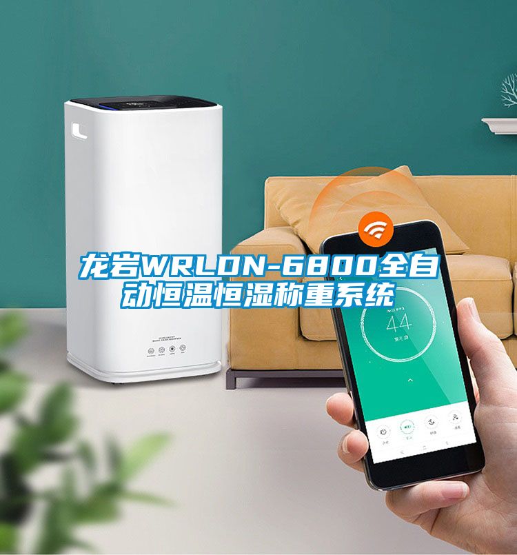 龍巖WRLDN-6800全自動恒溫恒濕稱重系統