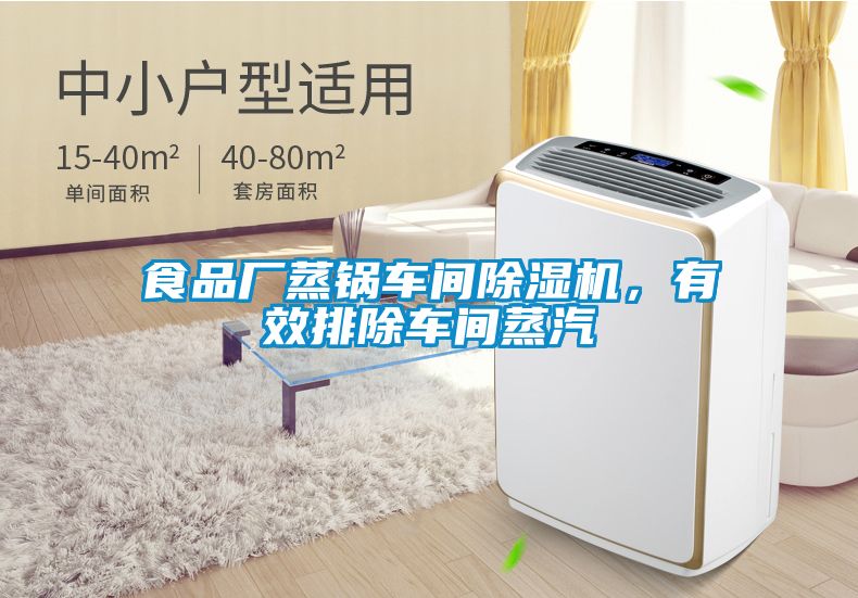 食品廠蒸鍋車間除濕機，有效排除車間蒸汽