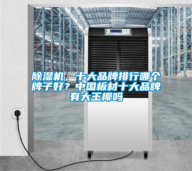 除濕機(jī)，十大品牌排行哪個牌子好？中國板材十大品牌有大王椰嗎