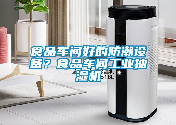 食品車間好的防潮設備？食品車間工業抽濕機