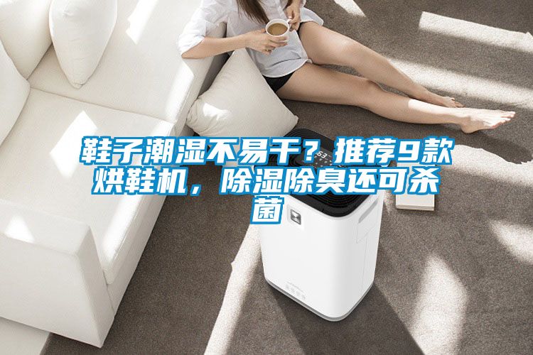 鞋子潮濕不易干？推薦9款烘鞋機，除濕除臭還可殺菌