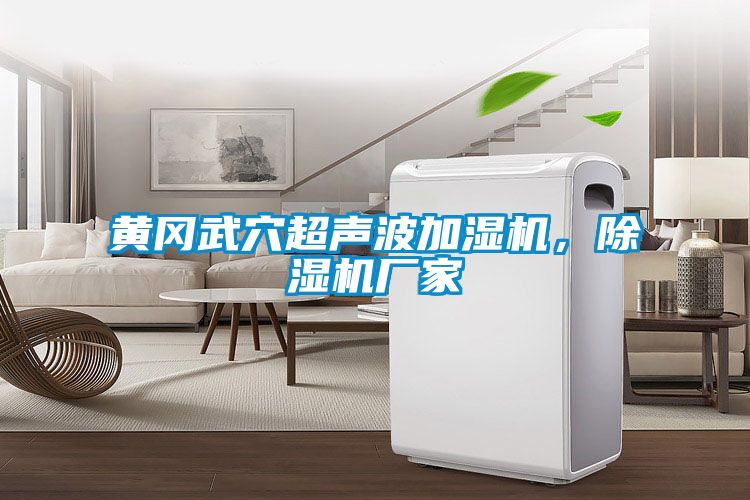 黃岡武穴超聲波加濕機，除濕機廠家