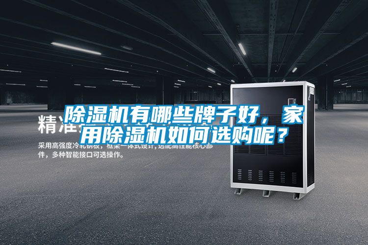 除濕機有哪些牌子好，家用除濕機如何選購呢？