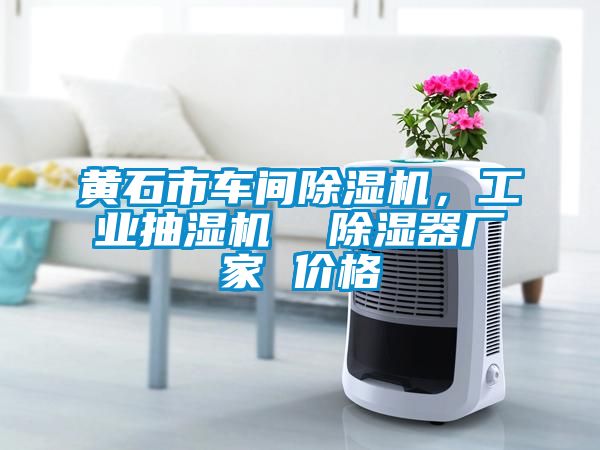 黃石市車間除濕機，工業抽濕機  除濕器廠家 價格