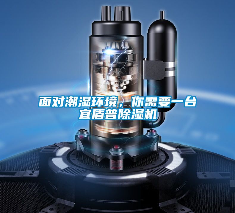 面對潮濕環境，你需要一臺宜盾普除濕機