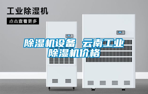除濕機設(shè)備 云南工業(yè)除濕機價格