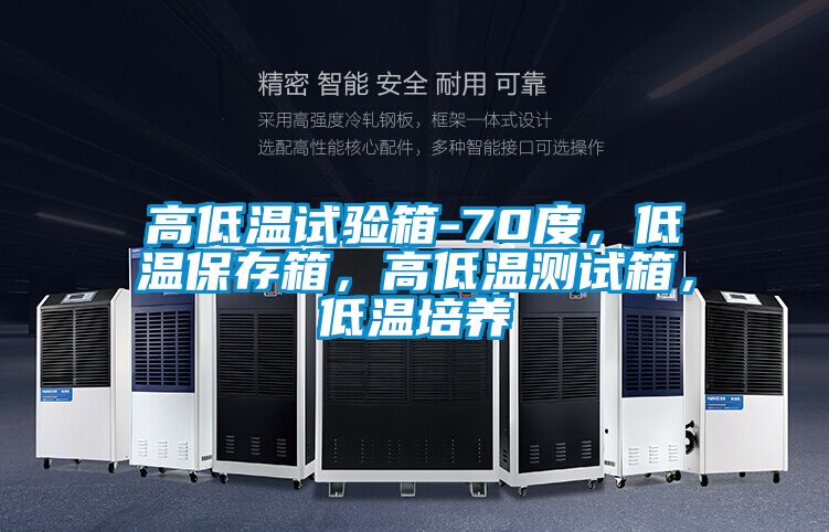 高低溫試驗(yàn)箱-70度，低溫保存箱，高低溫測試箱，低溫培養(yǎng)