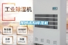 保密柜如何防潮？ 這些方法都有效，可以一試！