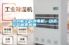 多功能空氣消毒機，動態空氣噴霧消毒