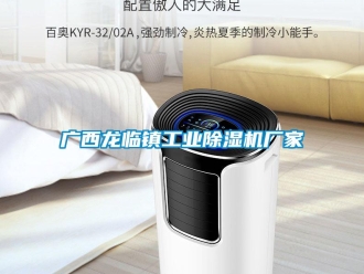 企業新聞廣西龍臨鎮工業除濕機廠家