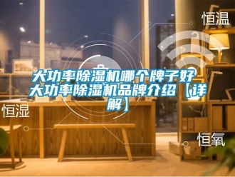 企業(yè)新聞大功率除濕機(jī)哪個牌子好 大功率除濕機(jī)品牌介紹【詳解】