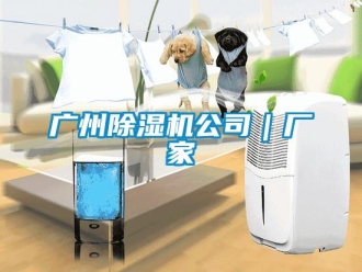 企業新聞廣州除濕機公司｜廠家
