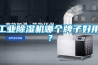 工業除濕機哪個牌子好用？