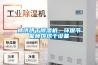 除濕機效果好嗎