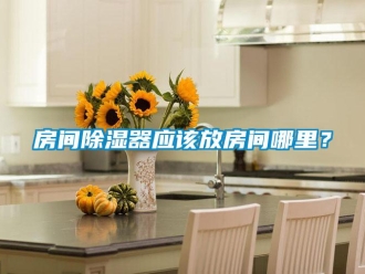 行業新聞房間除濕器應該放房間哪里？