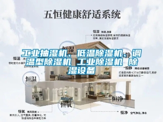 常見問題工業抽濕機、低溫除濕機、調溫型除濕機 工業除濕機 除濕設備