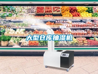 企業(yè)新聞大型倉庫抽濕機(jī)