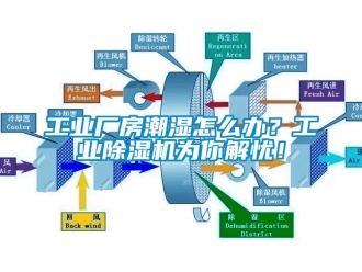 常見問題工業(yè)廠房潮濕怎么辦？工業(yè)除濕機(jī)為你解憂！