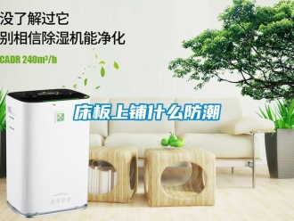 企業新聞床板上鋪什么防潮
