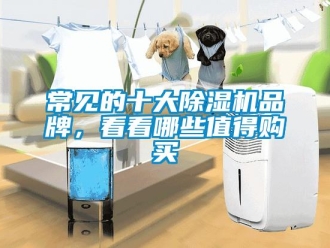 企業新聞常見的十大除濕機品牌，看看哪些值得購買