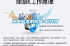 可程式恒溫恒濕試驗箱工作原理