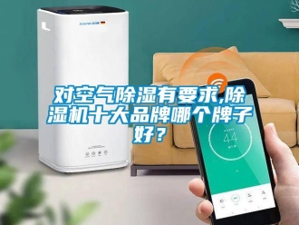 企業新聞對空氣除濕有要求,除濕機十大品牌哪個牌子好？