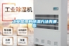 節能型恒溫恒濕試驗箱