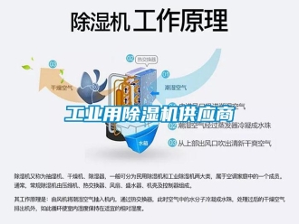常見問題工業(yè)用除濕機供應(yīng)商