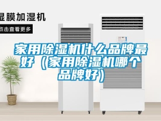 企業新聞家用除濕機什么品牌最好（家用除濕機哪個品牌好）