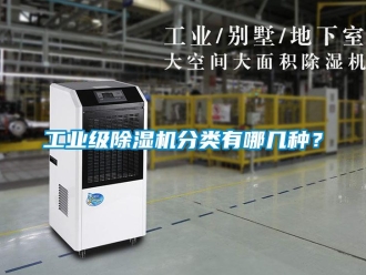 常見問題工業(yè)級(jí)除濕機(jī)分類有哪幾種？