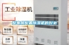 家用除濕機(jī)排名推薦,盤點(diǎn)6款除濕機(jī)排名品牌