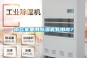 空氣除濕機有用嗎？什么情況下要用空氣除濕機