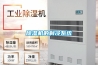 巴南區(qū)房間除濕機(jī)